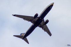 EI-EFN